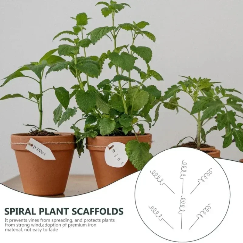 Bonsai Gardening - Klimplantensteun, klimplantenrek, tomatenspiraalstokken, duurzame bonsai metalen
