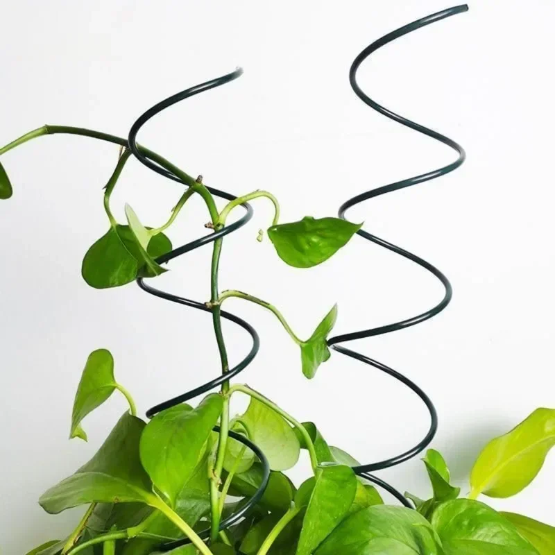 Klimplantensteun, klimplantenr - Bonsai Gardening recensie en prijs