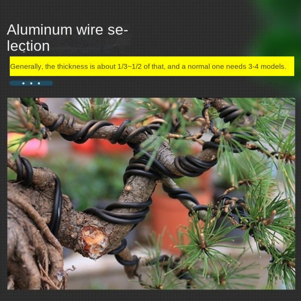 Aluminium Bonsai Draad Tuin Bo - Bonsai Garden Tools recensie en prijs