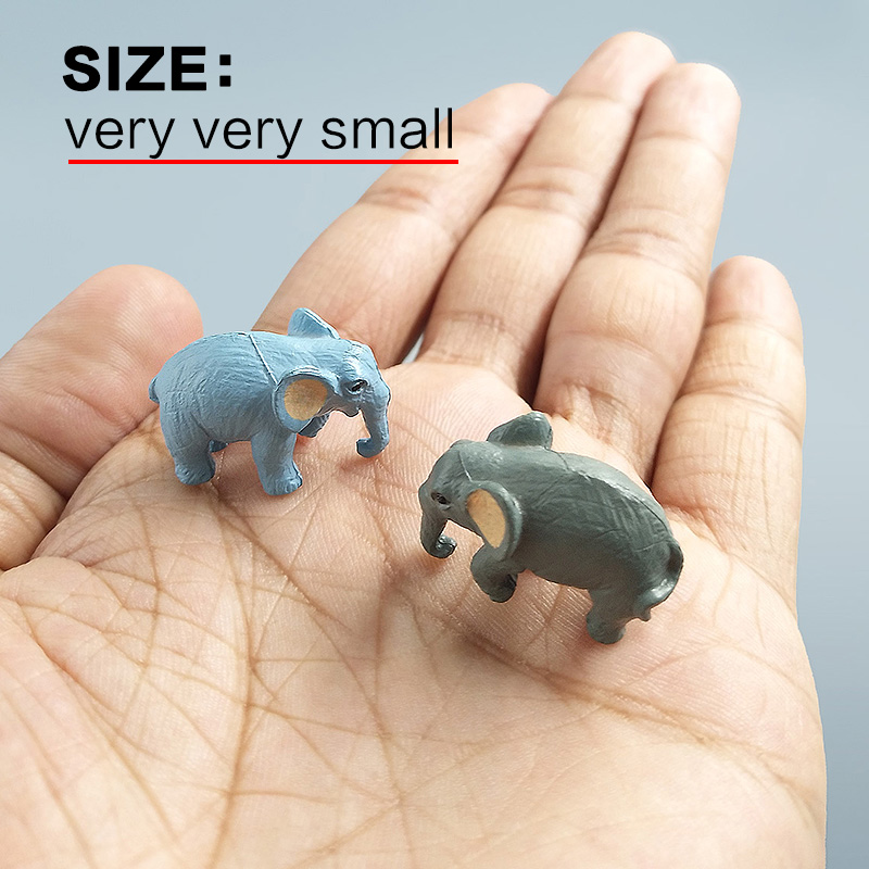 10 Stuks Kleine Olifant Bonsai - Japan Bonsai Garden recensie en prijs