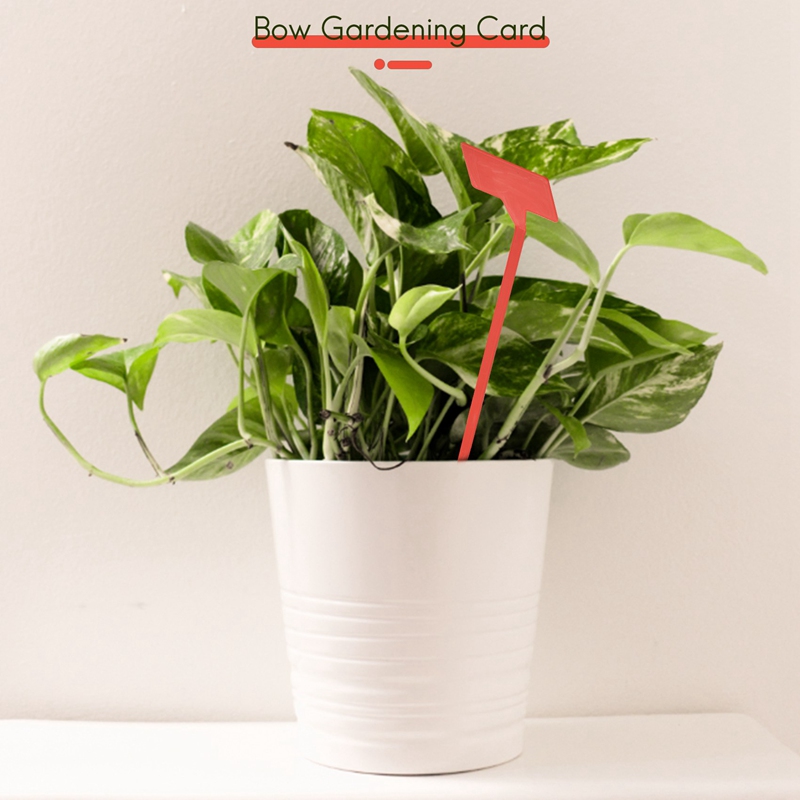 ABYP Tuinen Plantgereedschap 5 - Bonsai Garden Tools recensie en prijs