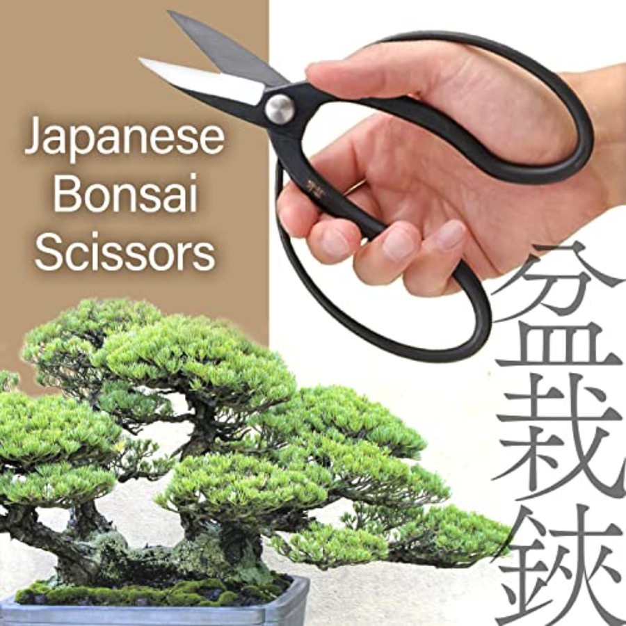 Japanse Suiryu Bonsai-schaar - - Japan Bonsai Garden recensie en prijs