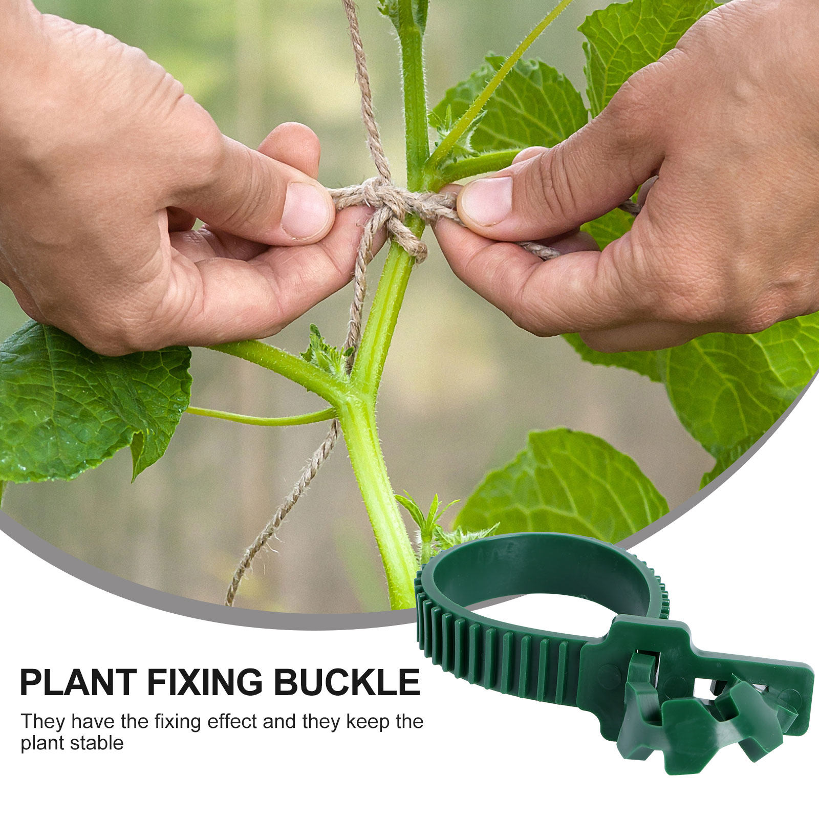 20 stuks wijnstokbevestigingsg - Bonsai Gardening recensie en prijs
