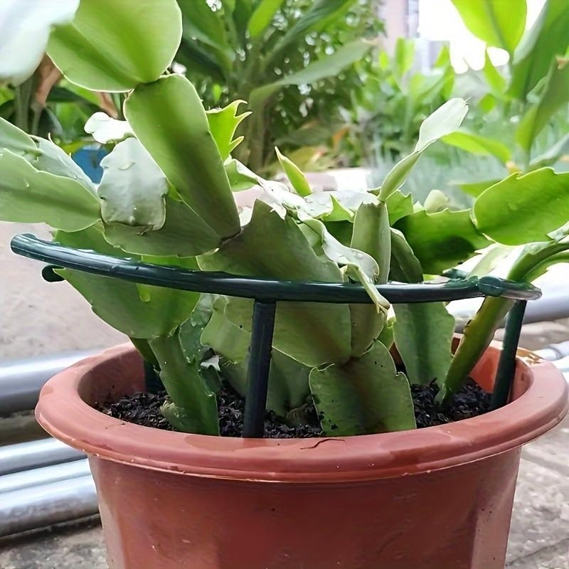 30-1PCS Plastic Plant Onderste - Bonsai Garden Tools recensie en prijs