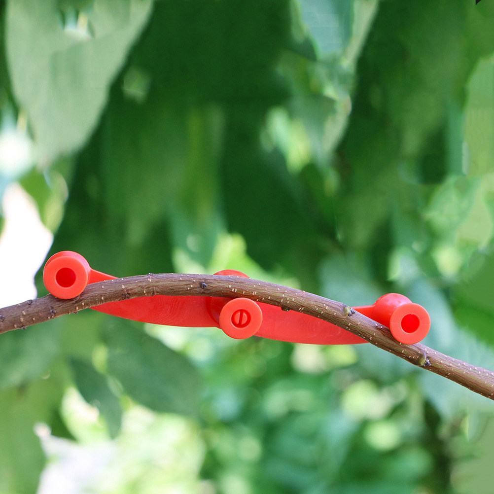 10 stuks flexibele plantenbuig - Bonsai Gardening recensie en prijs