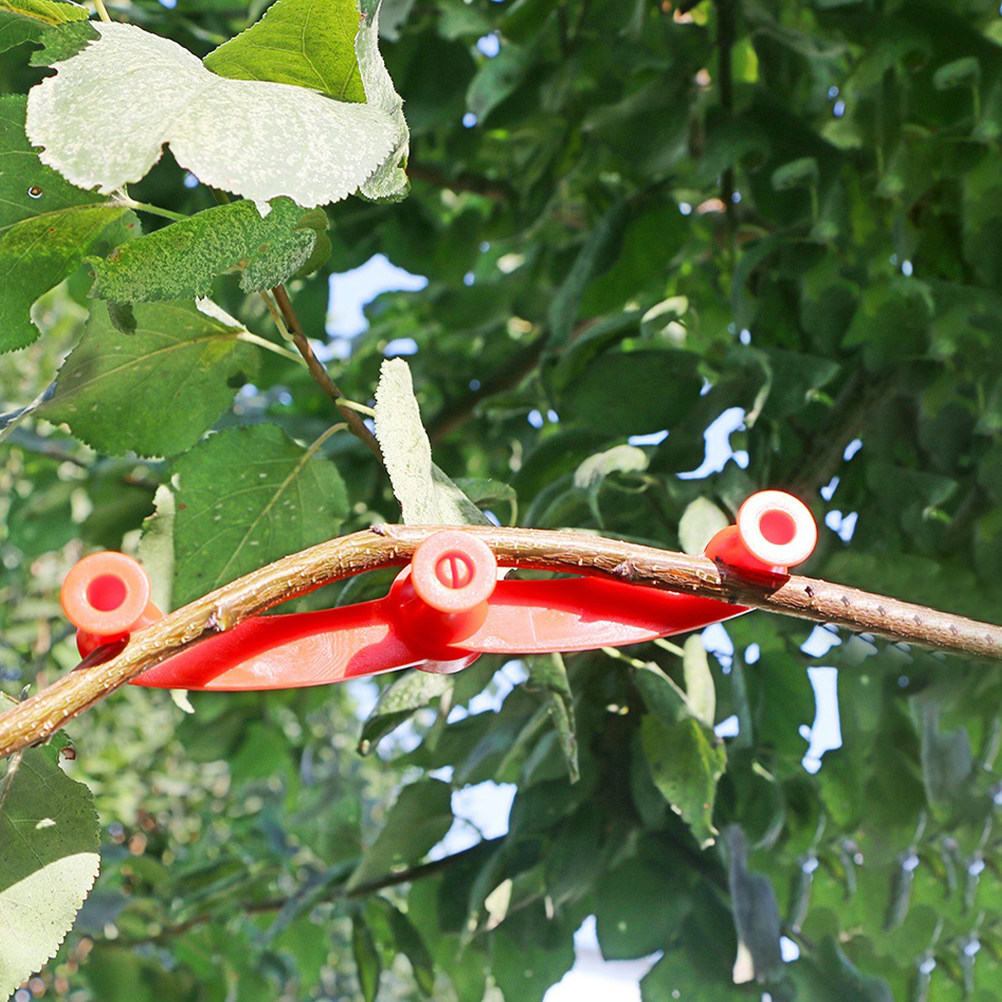 10 stuks flexibele plantenbuig - Bonsai Gardening recensie en prijs