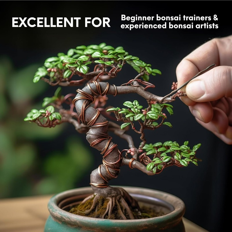 5M Bonsai Trainingsdraadset vo - Bonsai Garden Tools recensie en prijs
