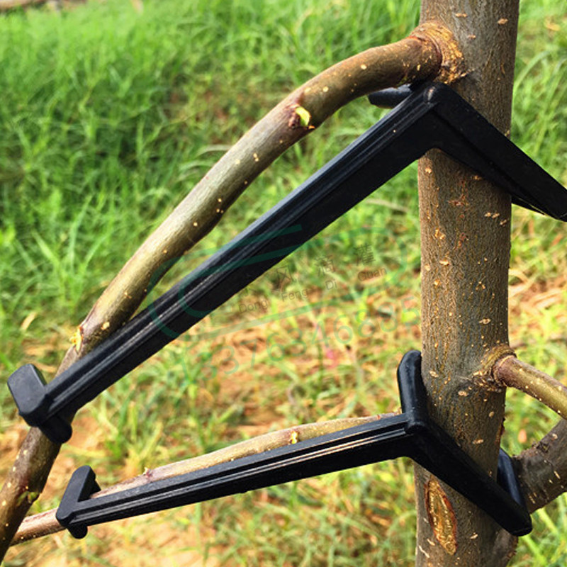 10-30 Stuks Fruitboom Clips Pl - Bonsai Garden Tools recensie en prijs