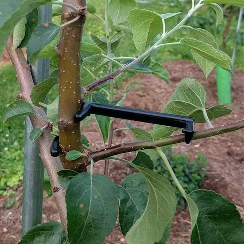 10-30 Stuks Fruitboom Clips Pl - Bonsai Garden Tools recensie en prijs