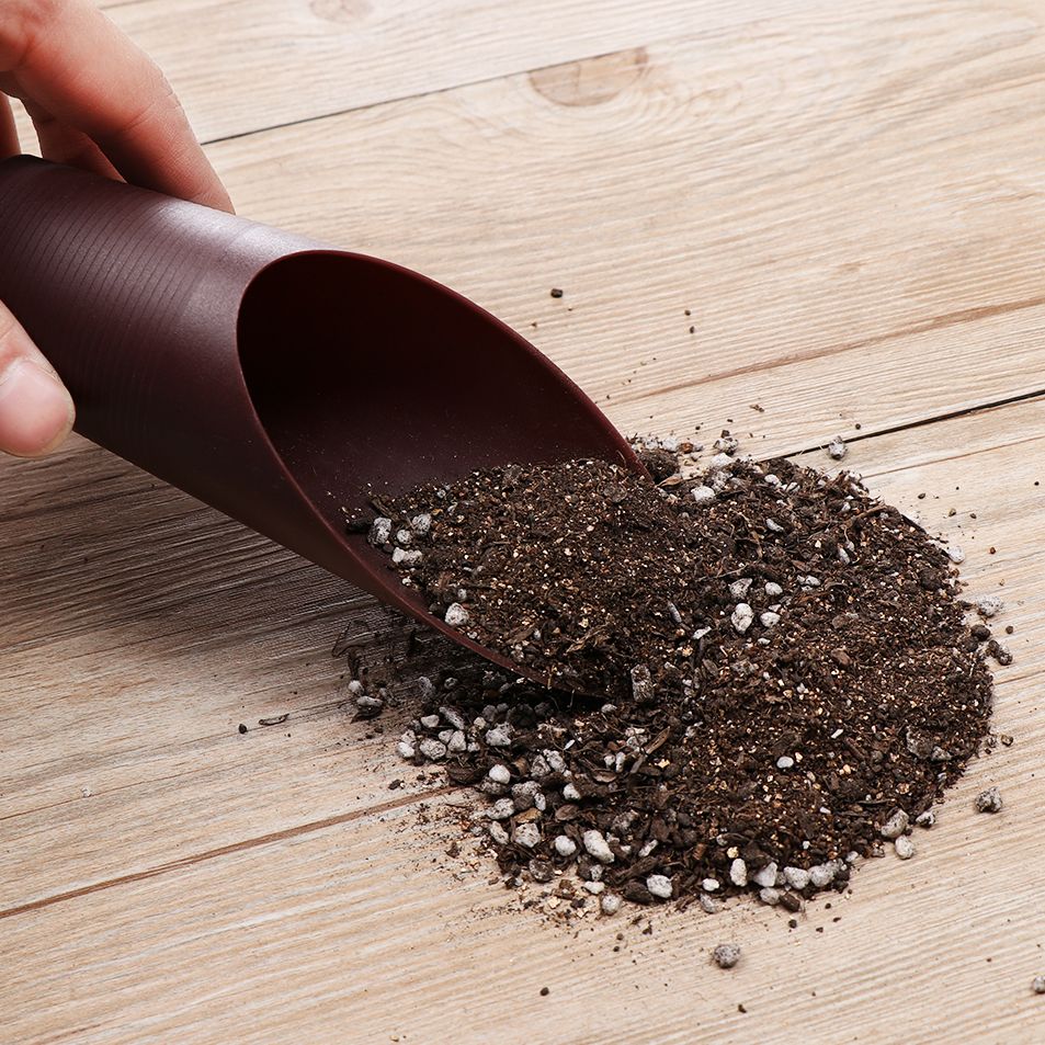 1 stuk plastic grondschepbeker - Bonsai Garden Tools recensie en prijs